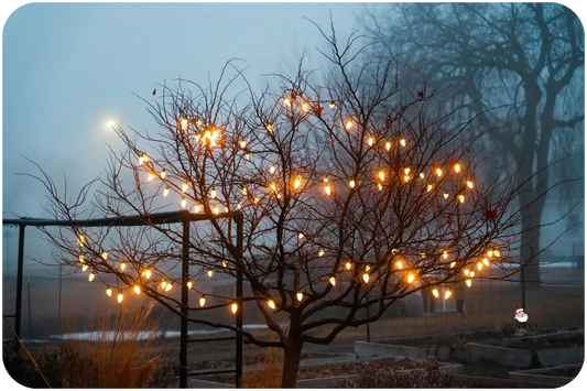 outdoor-game-night-lighting