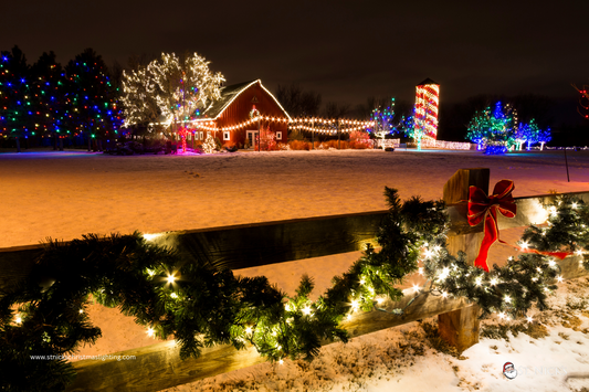 best-farmhouse-christmas-tree-lights