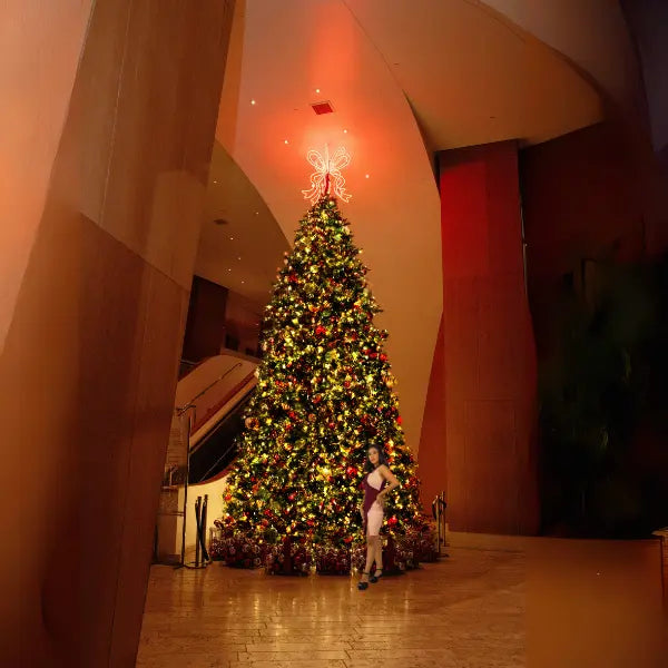 Decorated Christmas tree with lights in a large indoor space