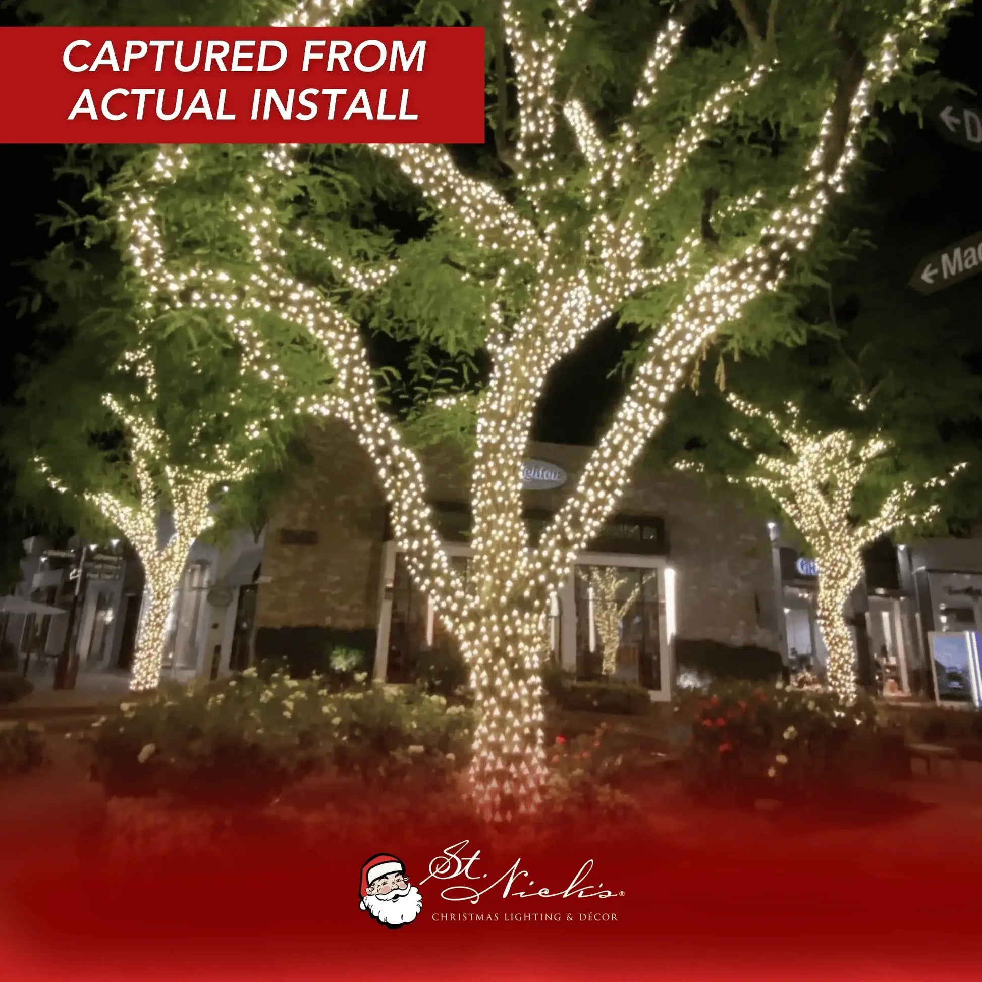 Warm-White-5mm-LED-Mini-Lights-Green-Wire-6-Spacing-9