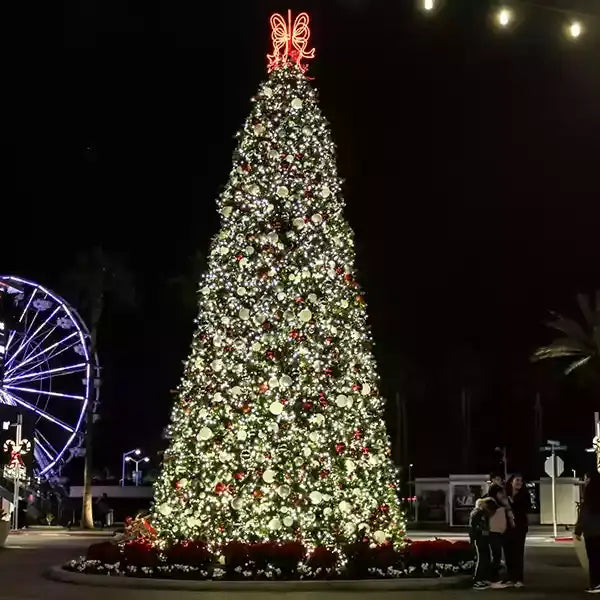 frame-with-red-cool-white-twinkle-20ft-trees