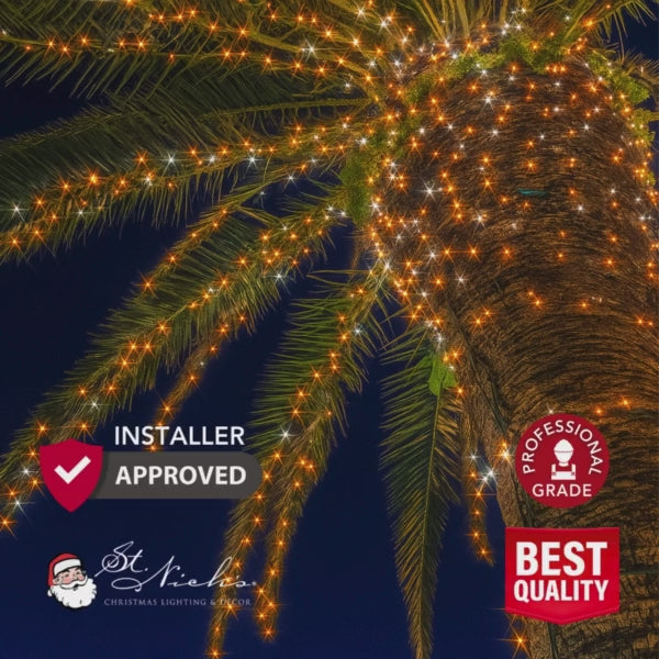 Amber-Warm-Cool-White-Twinkle-LED-Mini-Lights-6-Spacing-3