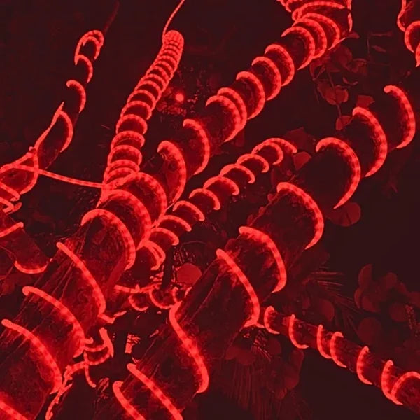 red-led-rope-light-38-328ft-roll-08