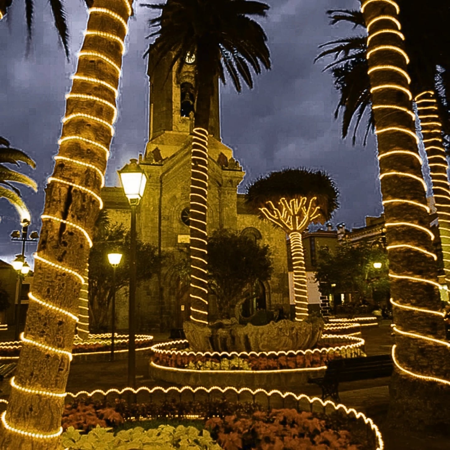 warm-white-led-rope-light-38-150ft-roll-10