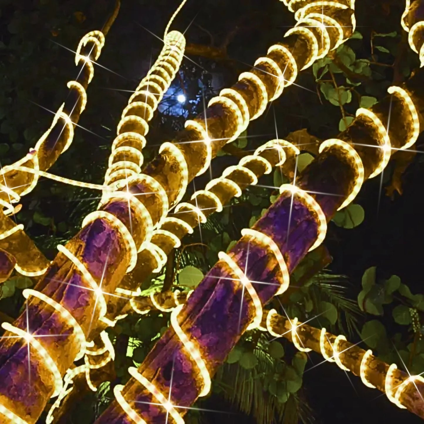 warm-white-twinkle-led-rope-light-38-150ft-roll-08
