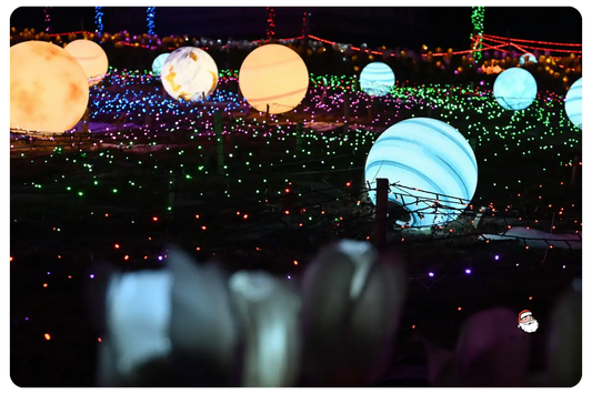 best-commercial-christmas-lighting-2025