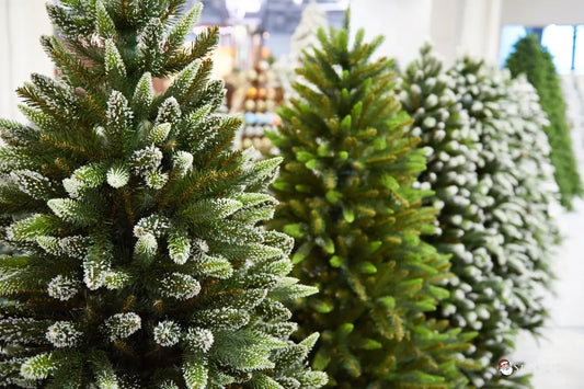 choosing-the-perfect-christmas-tree