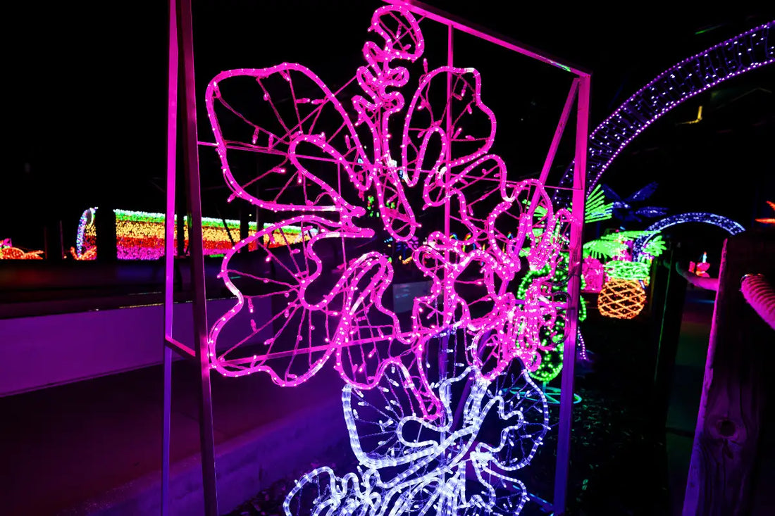 Commercial Mounting Methods for LED Rope Lights