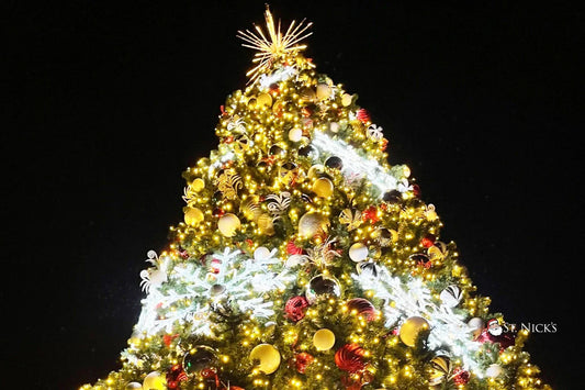 Elevate Your Holiday Decor with St. Nick’s Frame Trees