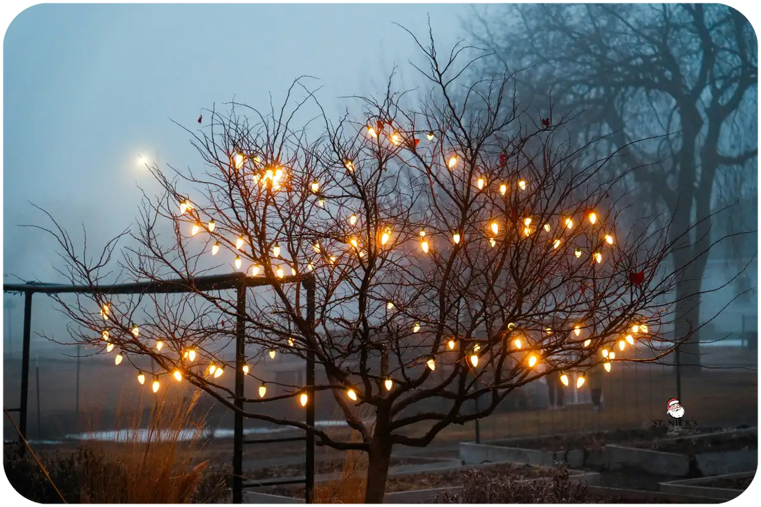 outdoor-game-night-lighting