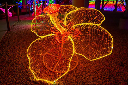 Maximum Run Length for LED Rope Lights in Commercial Projects Outdoor