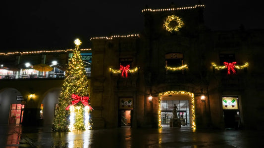 Commercial Municipal Seasonal Infrastructure Planning Framework