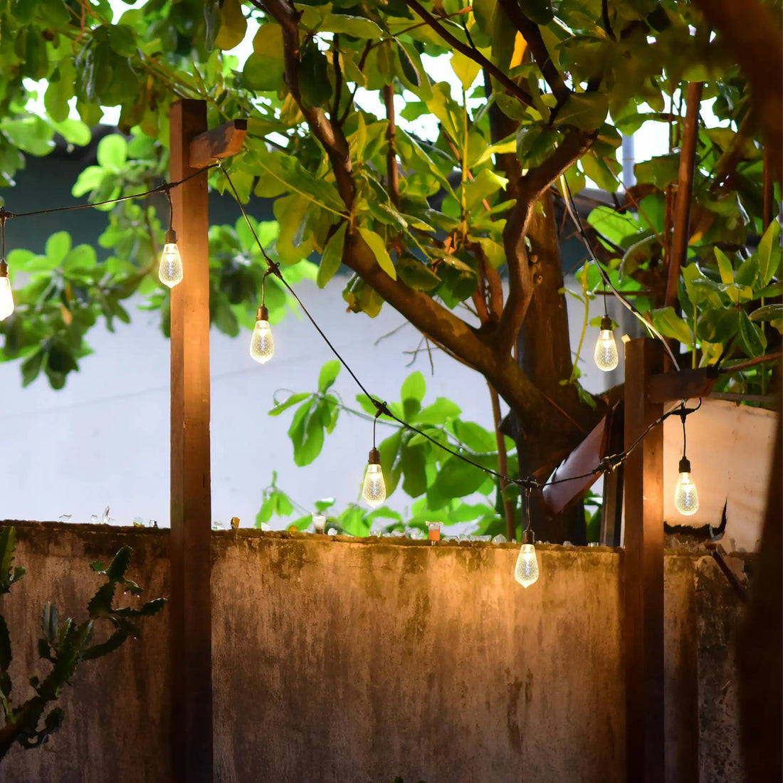 patio-lights-hanging