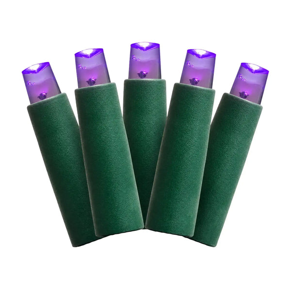Purple static Premium Pro LED mini lights featuring 5MM bulbs with green wire and 6 inch spacing