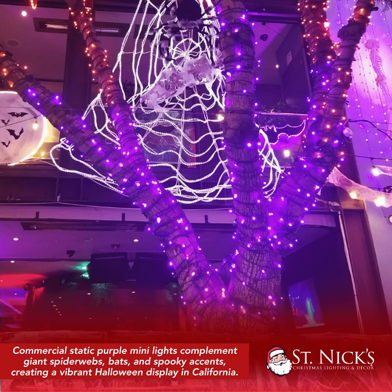 Purple LED mini lights wrap tree trunks beneath giant spiderwebs and Halloween décor in West Hollywood, California.