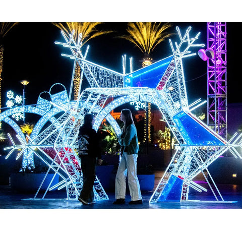 Top 5 Outdoor Christmas Light Ideas for Your Front Yard