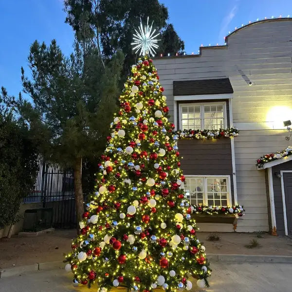 Decorated Christmas tree outdoor residential with lights and ornaments.