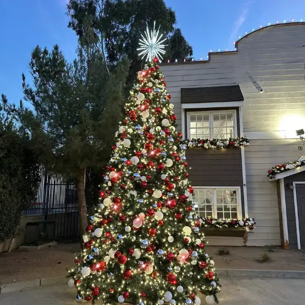Decorated Christmas tree with lights and ornaments outdoor residential 