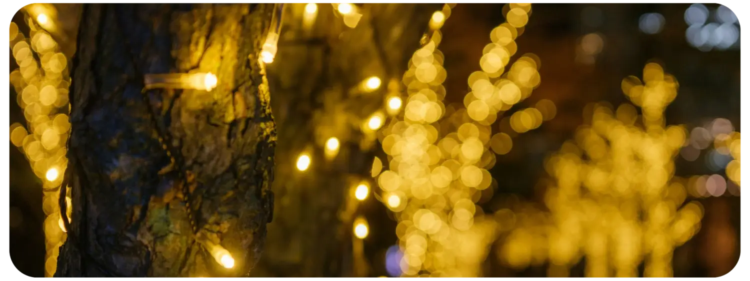 led-christmas-lights