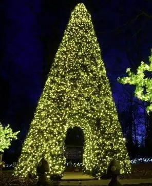 30ft-christmas-lighting-tree-walkthrough-frame-tree-undecorated-st-nicks-CA