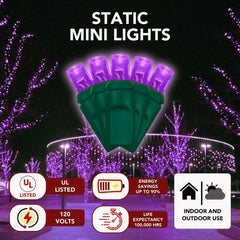 5MM-LED-Mini-Lights-Purple-Green-Wire-6-Spacing-4
