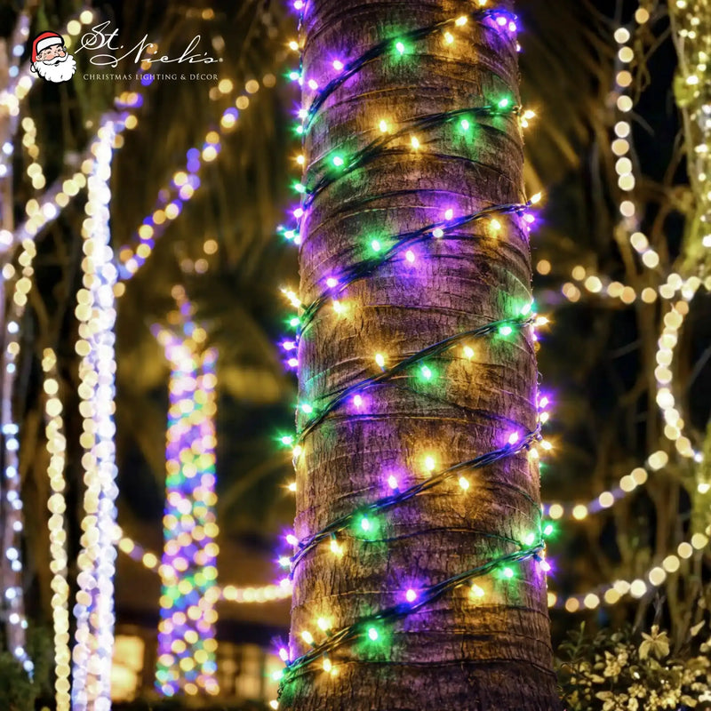 Close-up of French Quarter Color Palette LED mini lights wrapped tightly around palm tree trunk for professional outdoor display