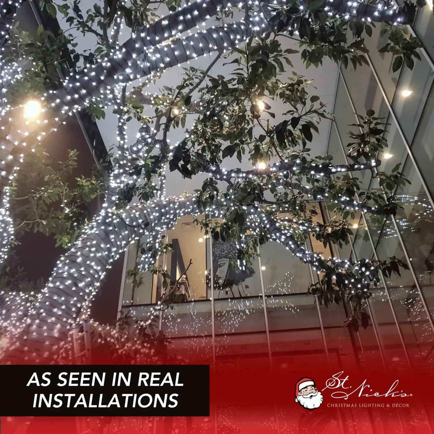 LED-Mini-Lights-5MM-Cool-White-Static-Green-Wire-6-Spacing-8