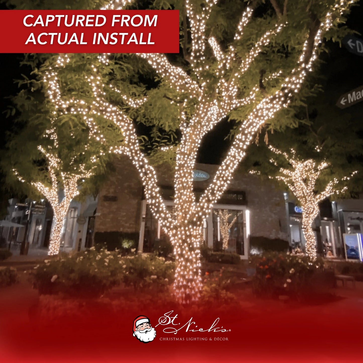 LED-Mini-Lights-5MM-Soft-White-9