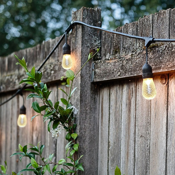 S14-Warm-White-LED-Festoon-Light-Bulbs-Faceted-11