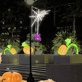 Silver Web Frame with Twinkling White and Purple Rope Lights 8FT-03