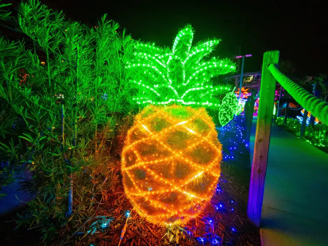 LED Rope Lights Amusement Park