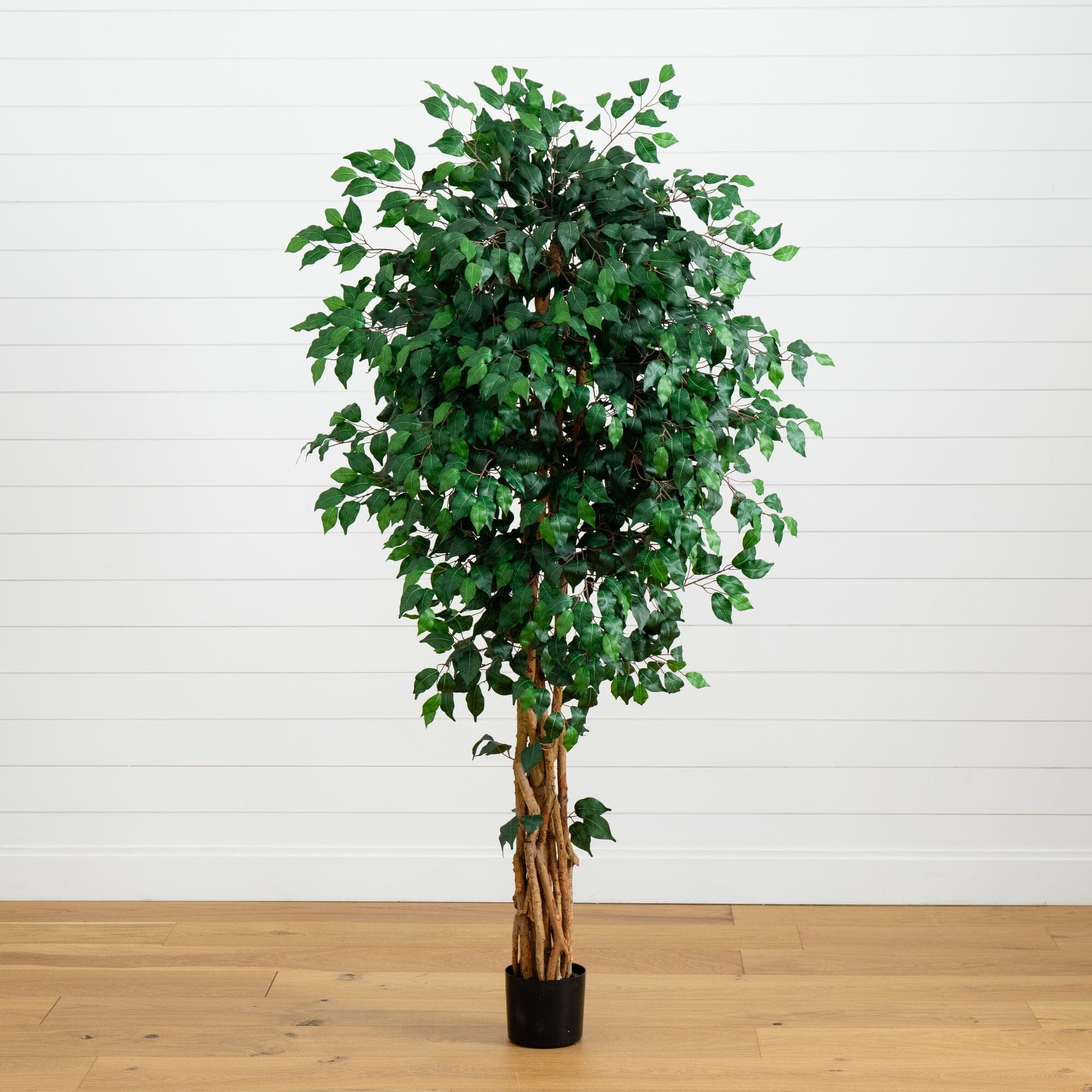 6 Foot Palace Style Ficus Tree Summer Spring Silk Foliage | St Nicks ...