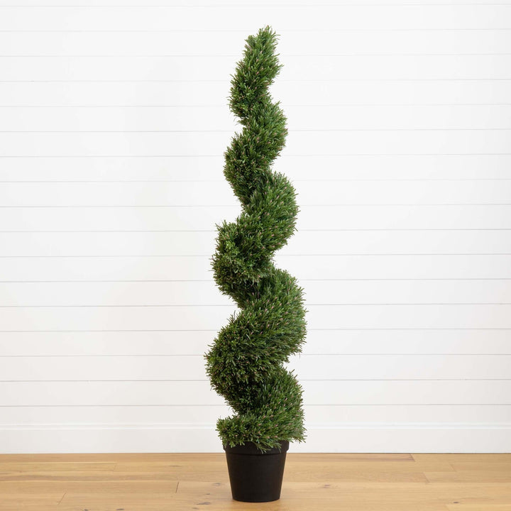 6' Rosemary Spiral Tree (Indoor/Outdoor) - St. Nicks – St. Nicks ...