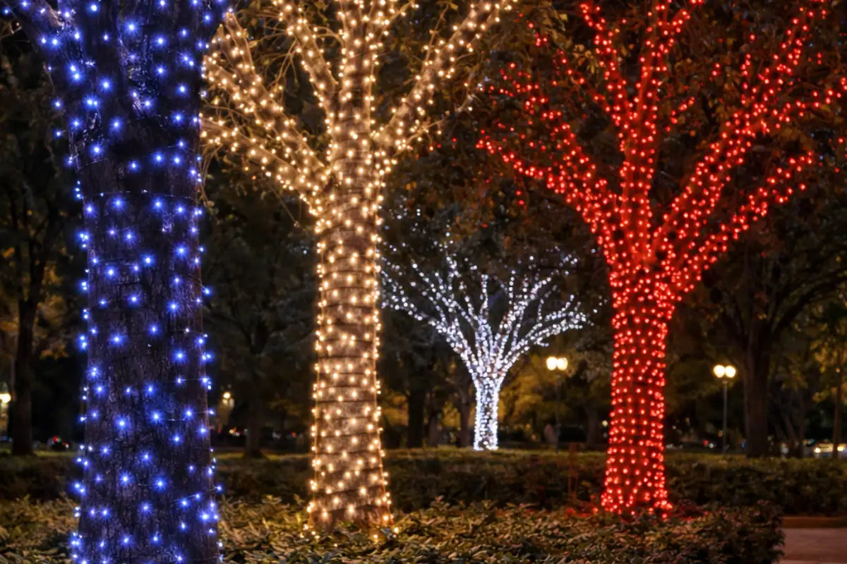 Decorative trees illuminated with blue, white, and red lights in a park setting.