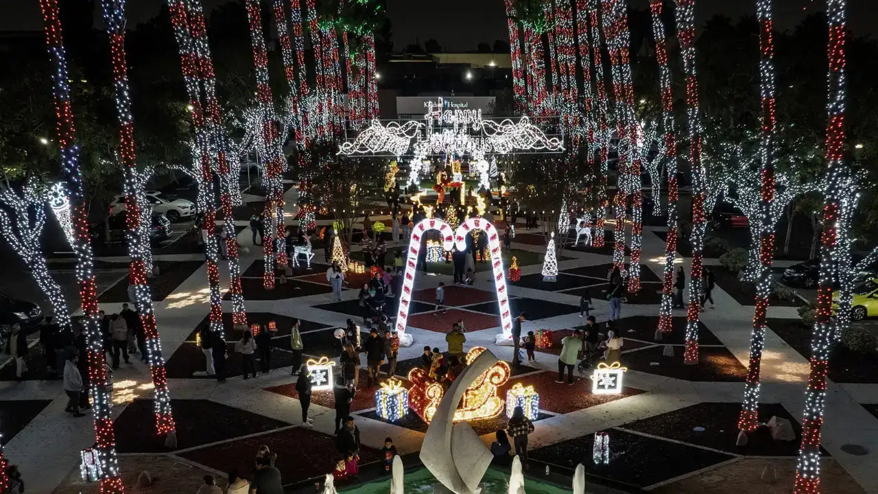 Holiday Lighting Outdoor