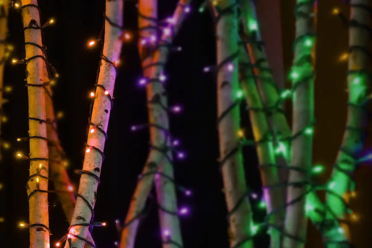 mardi gras lighting outdoor