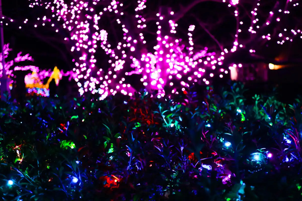 Mardi gras lighting ideas