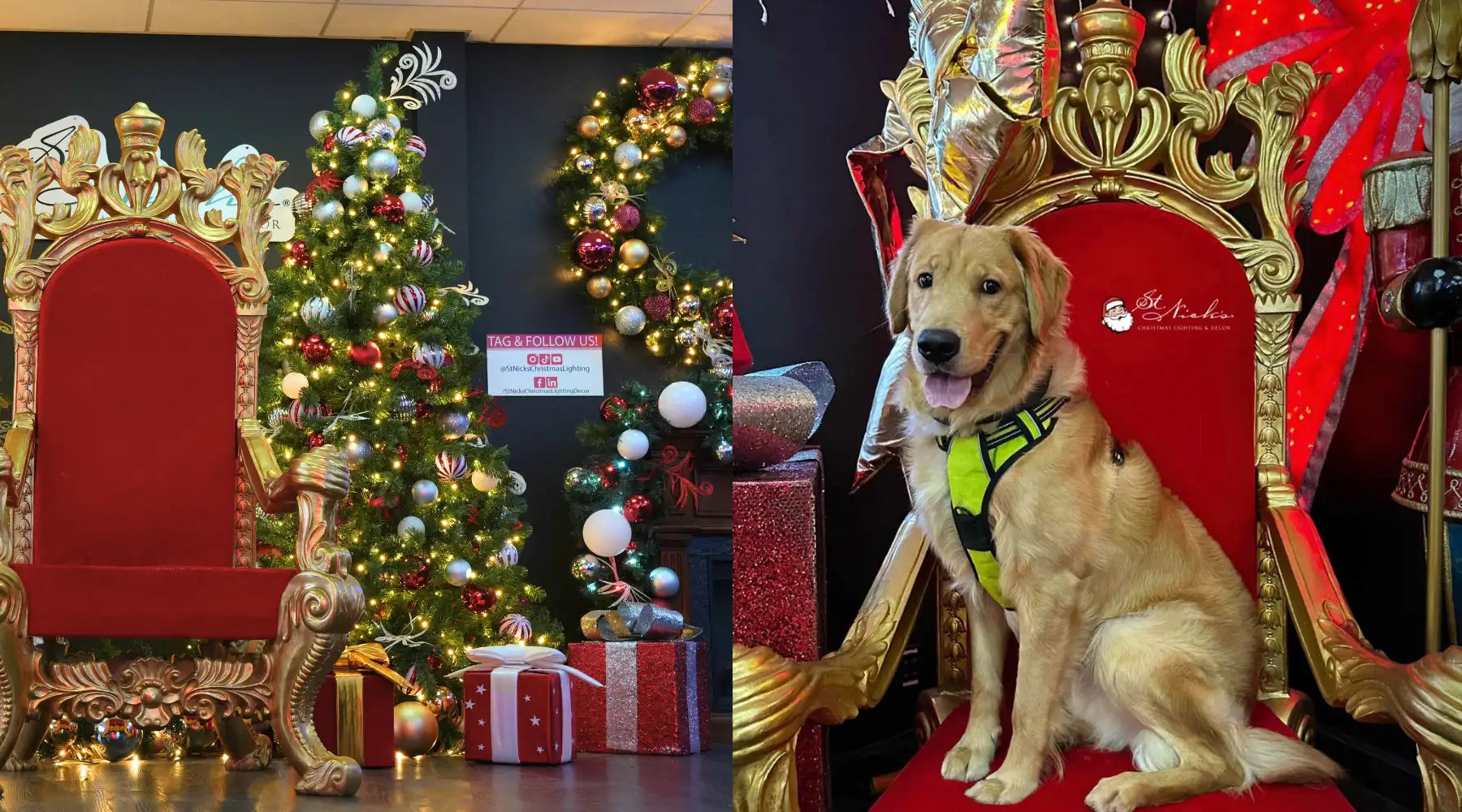 The Ultimate Pet-Friendly Décor Guide for Commercial Spaces