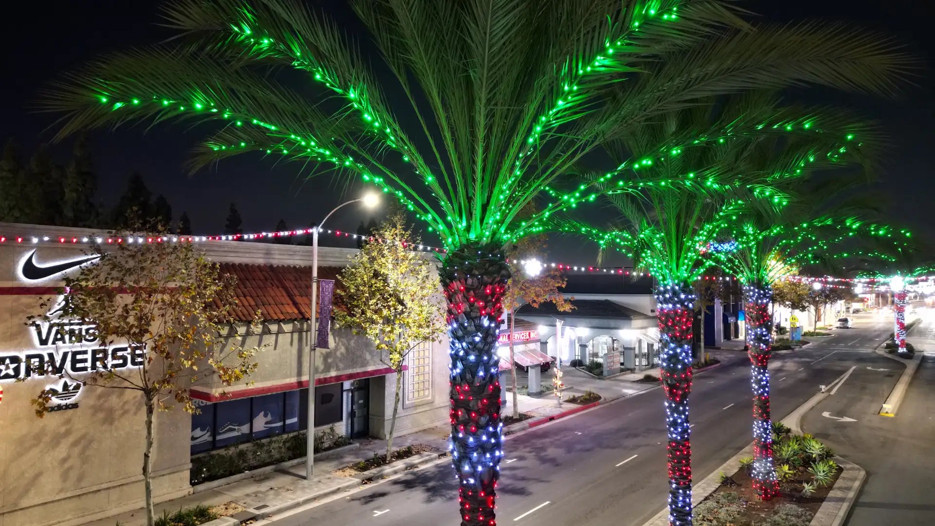Decorative palm trees with green, red, and blue lights on a  shopping center street at night.