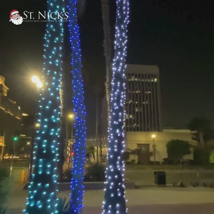 Product video featuring palm trunks illuminated with commercial cool white, aqua, and blue mini lights in a nighttime setting.