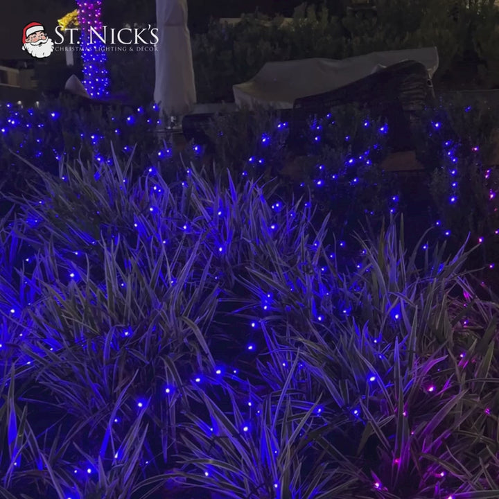 Video tours landscaped shrubs and palm trees illuminated with blue, purple, and other colorful LED mini lights at night.