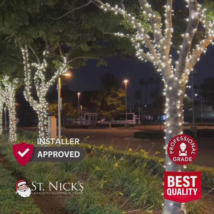 Video shows plaza trees wrapped in warm white LED mini lights along a walkway with installer-approved product graphics.