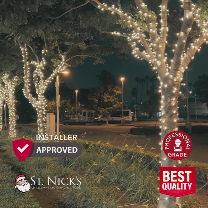 Video shows mature trees professionally wrapped in soft white LED mini lights along an illuminated outdoor walkway.