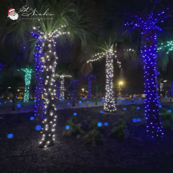 Blue-and-Cool-White-Twinkle-LED-Mini-Lights-6-Spacing-7
