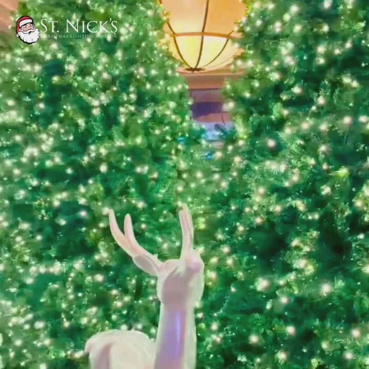 Product video featuring commercial warm white twinkle LED mini lights and their soft golden-white illumination.