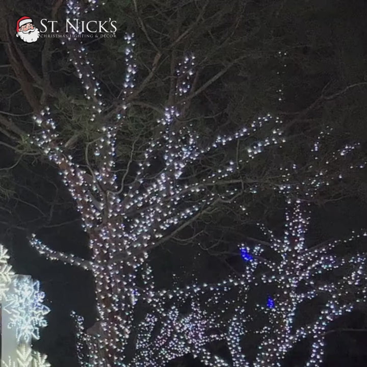 Video showcases commercial holiday lighting with bright white LEDs illuminating trees and outdoor architectural elements.