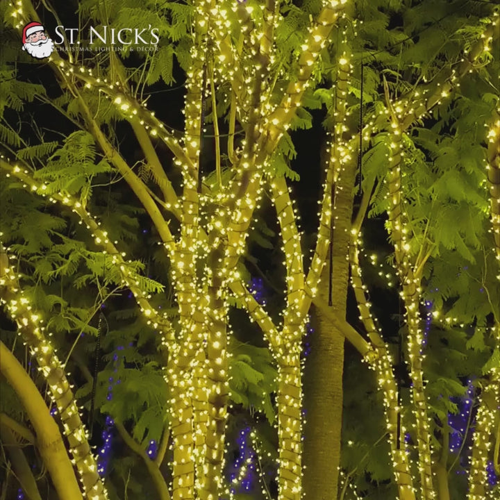 Video shows mature tree trunks and branches densely wrapped in bright yellow LED mini lights for a glowing nighttime display.