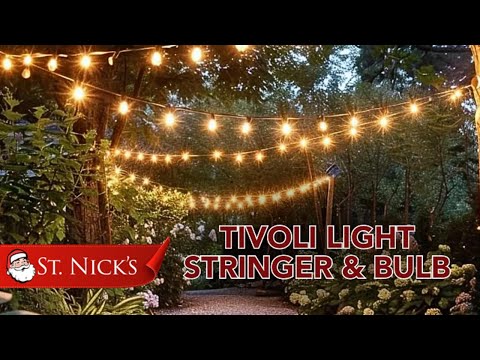 お歳暮 のし 250FT 4 w/ Stringer Light Tivoli E26 ライト・ランタン