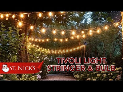 ST64-Warm-White-LED-Tivoli-Light-Bulbs-E26-Base-Faceted-15pcs-11