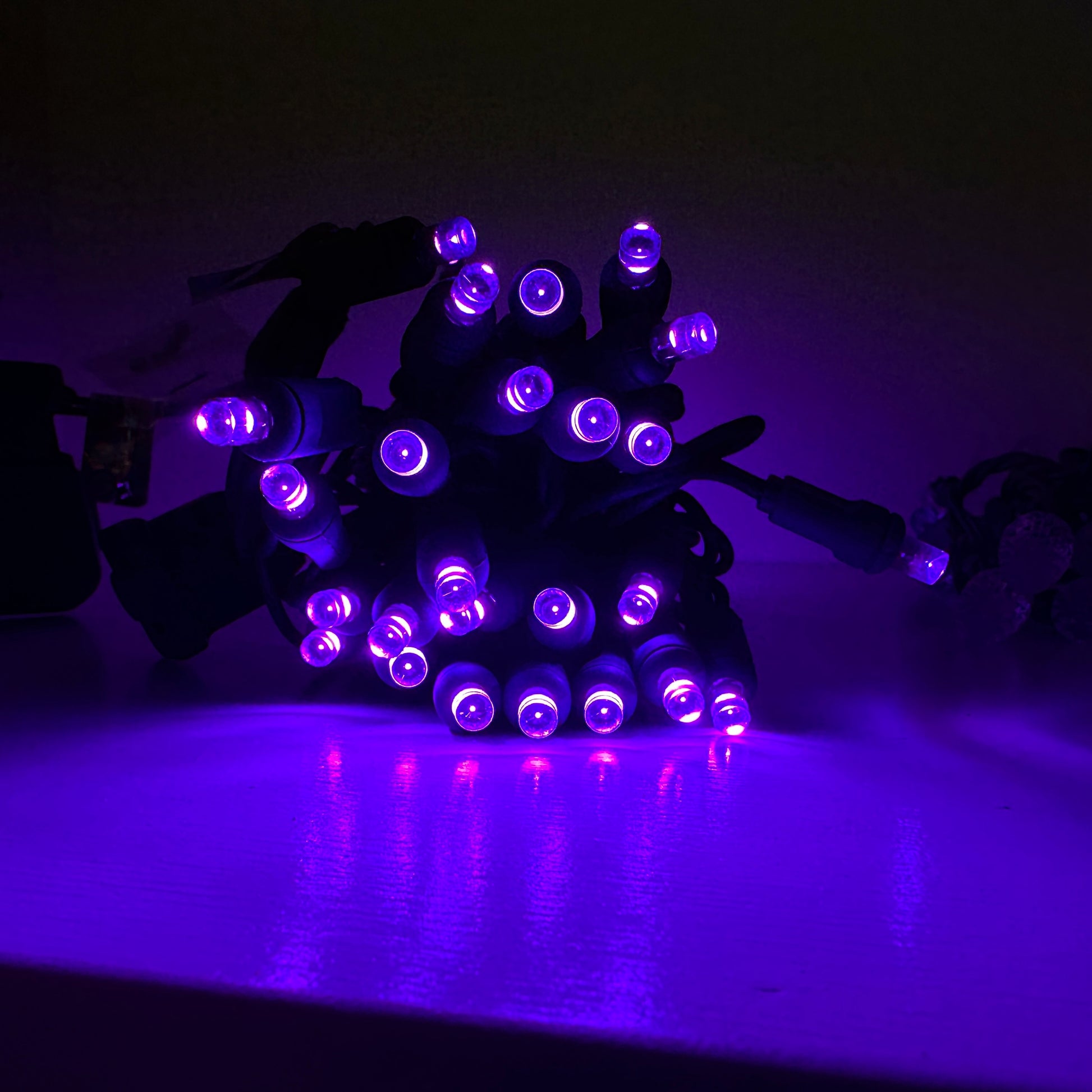 purple-5mm-christmas-lighting-twinkle-led-mini-lights-green-wire-6-spacing-st-nicks-CA
